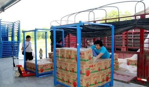 永州嘉信冷鏈倉(cāng)儲(chǔ)物流中心正式開業(yè)，助推區(qū)域物流體系升級(jí)