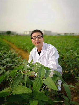 王學(xué)路教授科研成果榮登2021年度“中國(guó)高等學(xué)校十大科技進(jìn)展”，為農(nóng)業(yè)科學(xué)發(fā)展注入新動(dòng)力